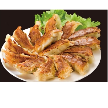 【じぶんぎふと】JA食肉かごしま　黒豚生餃子セット