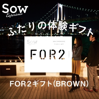 ＜カタログギフト＞ソウ・エクスペリエンス　ＦＯＲ２ギフト（ＢＲＯＷＮ）