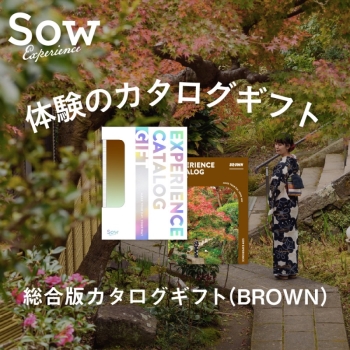 ＜カタログギフト＞ソウ・エクスペリエンス 総合版カタログギフト（ＢＲＯＷＮ）