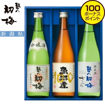 【お歳暮】高の井酒造　越の初梅　こだわり蔵元直送セット　Ｔ－ＧＳＵ