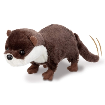 イワヤ　カワウソコツメちゃん