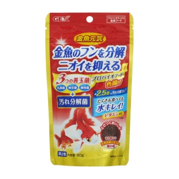 激安‼️黄金のさきいか天 2袋 北海道限定品追加可能です