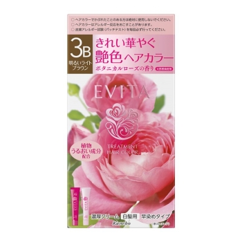 カネボウ エビータ トリートメントヘアカラー 3B