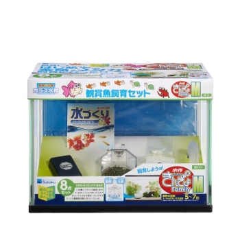 【金魚のぶーちゃん】西国三十三所　散華　全33枚セット　美品 金魚のぶーちゃん様専用】西国三十三所 散華 全33枚セット 美品