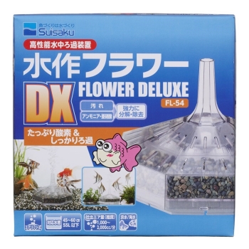発熱の儀式　日本語foil4枚セット 41ZpPd-YyaL.jpg