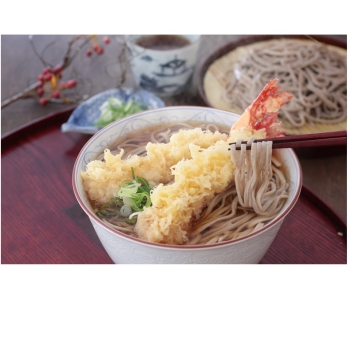 【じぶんぎふと】武生製麺　直営農場の越前そば8食セット