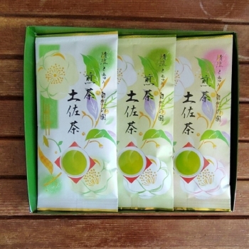 土佐茶煎茶１００ｇ×３本