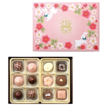 いちごとももショコラアソート１２個