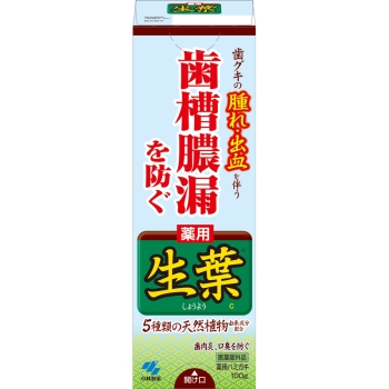 【医薬部外品】薬用ハミガキ 生葉 100g