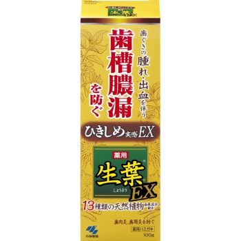 【医薬部外品】薬用ハミガキ 生葉EX 100g