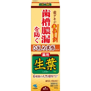 【医薬部外品】薬用ハミガキ 生葉 ひきしめ実感タイプ 100g