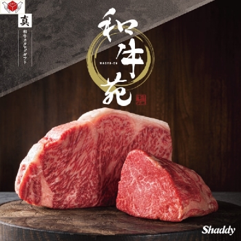 ＜カタログギフト＞和牛苑　真ーまことー