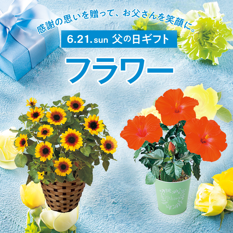 父の日 フラワー