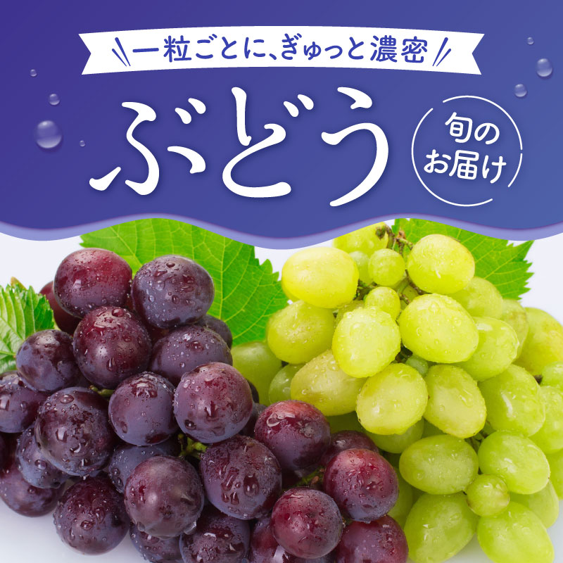 ぶどう