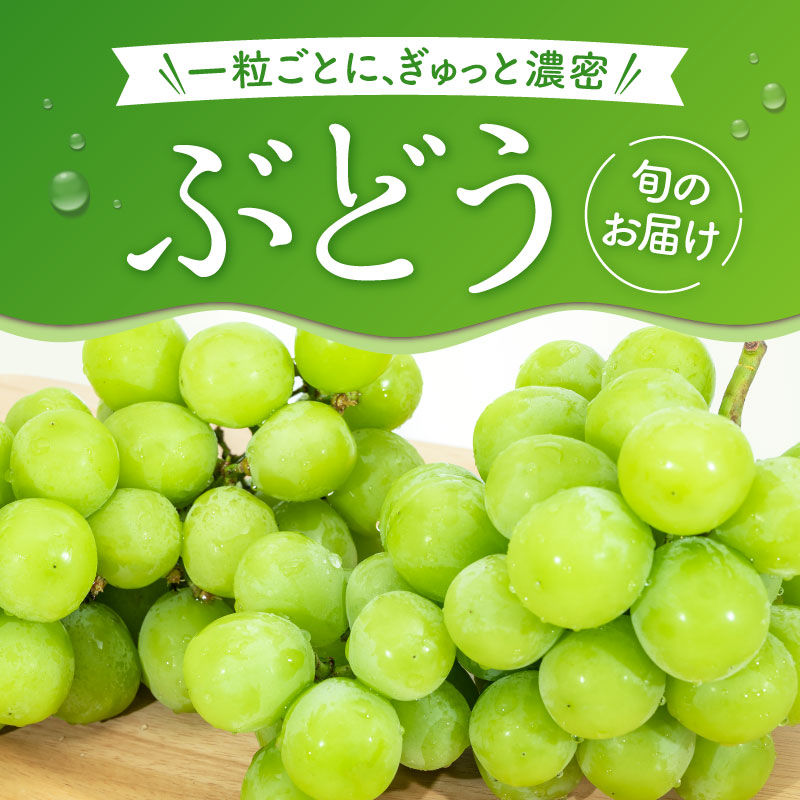 ぶどう