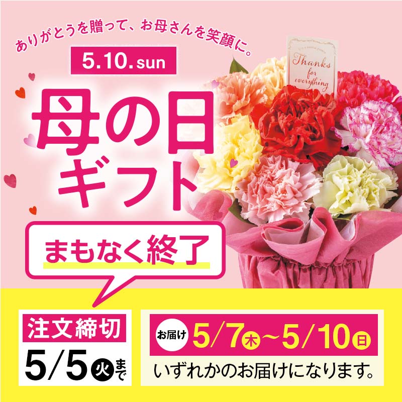 母の日　フラワー・スイーツギフト