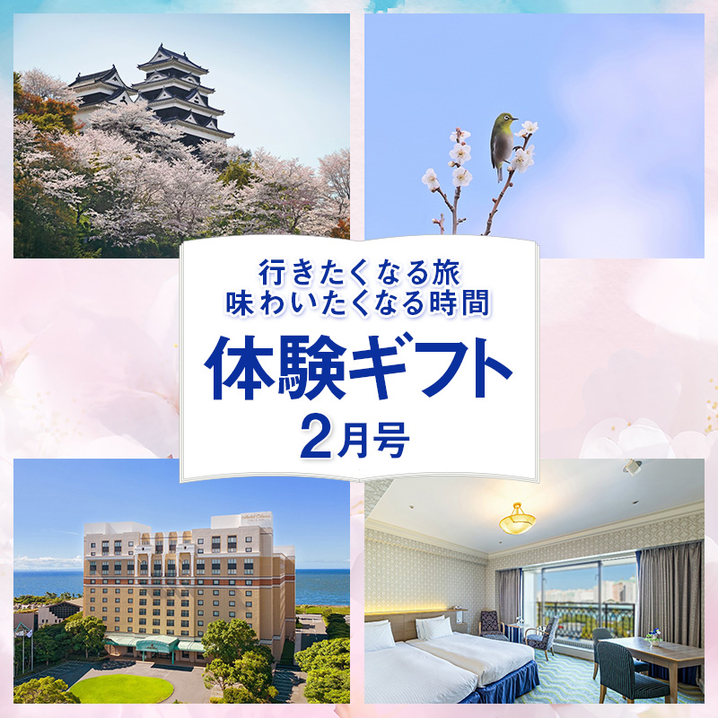 わくわく体験ギフト2月号