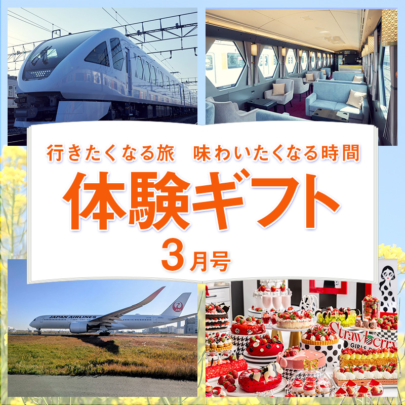 わくわく体験ギフト3月号
