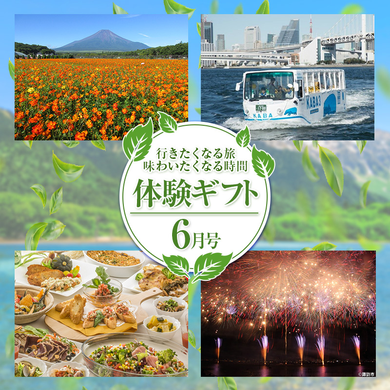 わくわく体験ギフト6月号