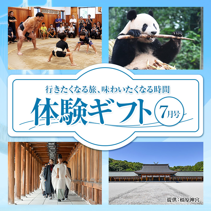 わくわく体験ギフト7月号