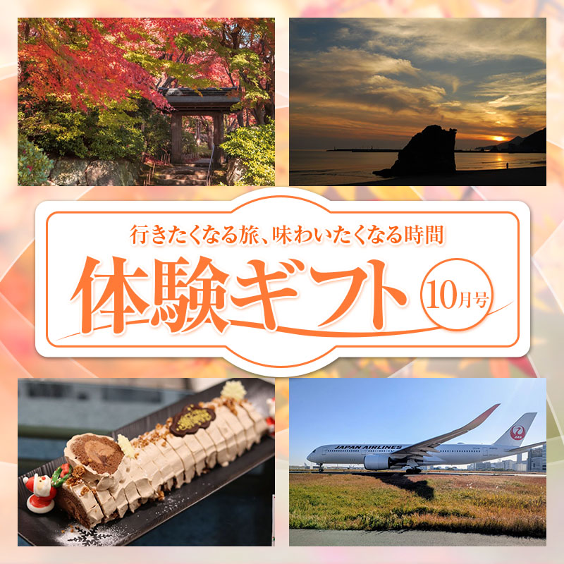 わくわく体験ギフト 10月号