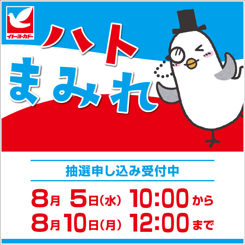 ハトまみれ