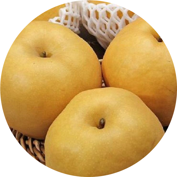 新高梨