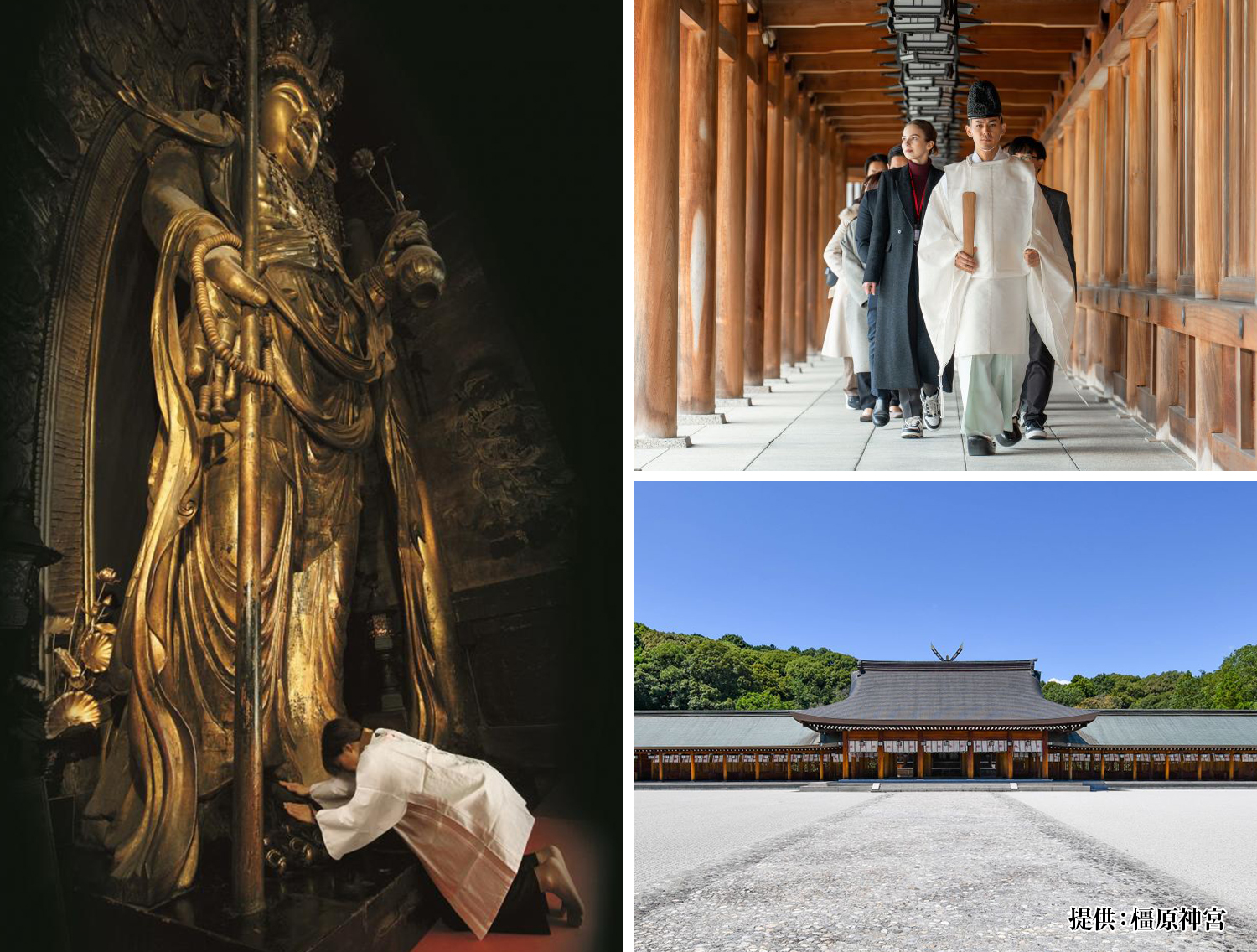 “日本はじまりの地”で神社参拝の基本を学ぶ 橿原神宮正式参拝と豊臣秀長ゆかりの地めぐり