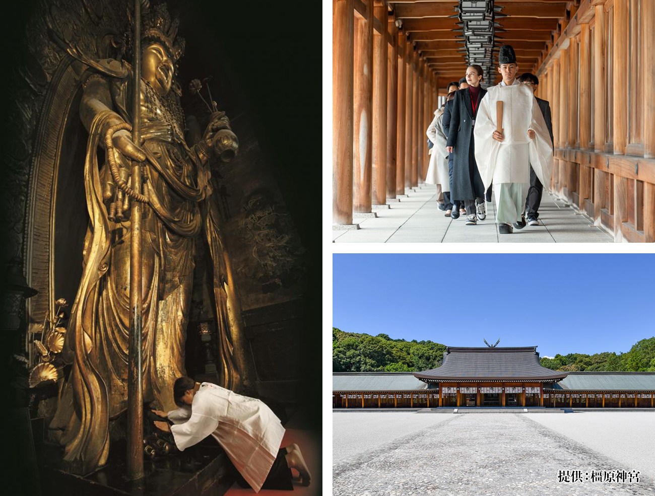 “日本はじまりの地”で神社参拝の基本を学ぶ 橿原神宮正式参拝と豊臣秀長ゆかりの地めぐり