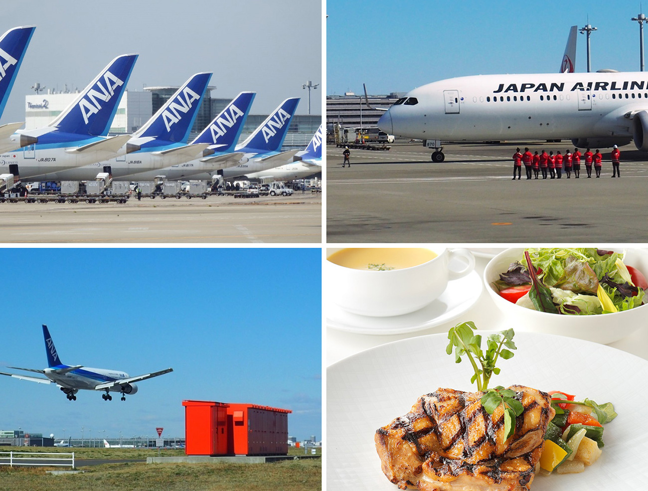 羽田空港制限区域内見学バスツアー&ホテルランチ