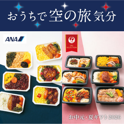 おうちで空の旅気分