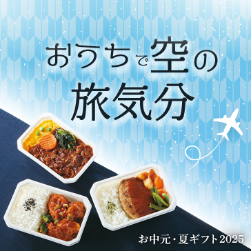 おうちで空の旅気分