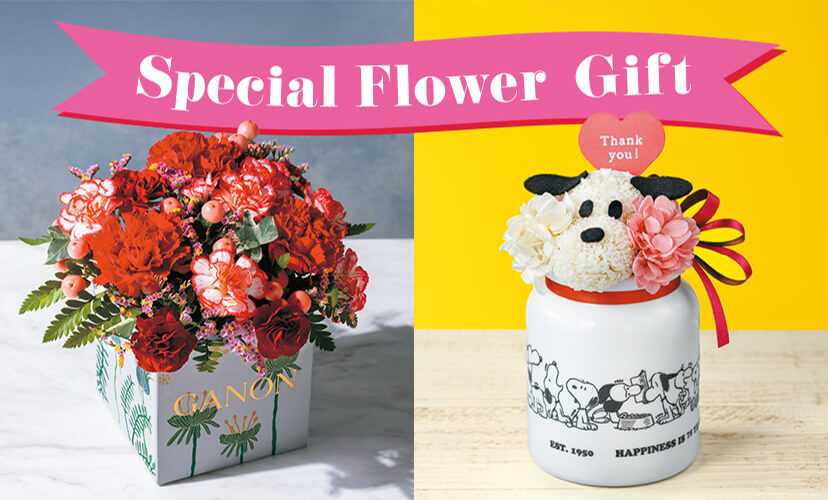 Special Flower Gift
