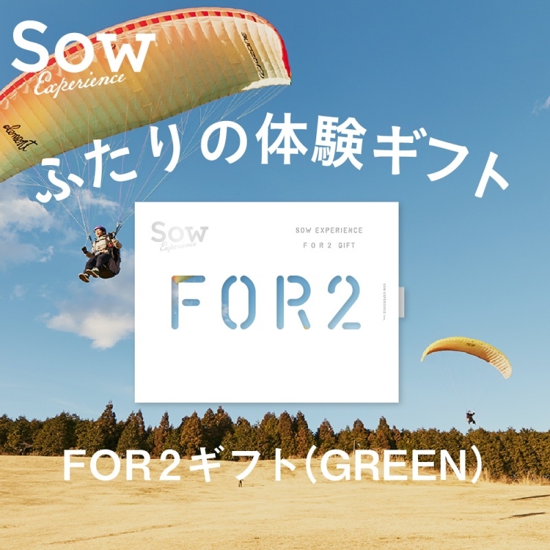 ＜カタログギフト＞ソウ・エクスペリエンス　ＦＯＲ２ギフト（ＧＲＥＥＮ)