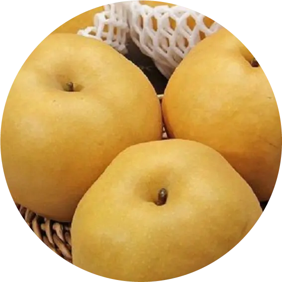 新高梨
