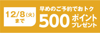 12/8(火)まで 早めのご予約でおトク 500nanacoポイントプレゼント