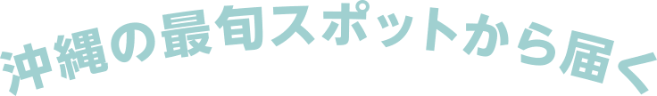沖縄の最旬スポットから届く