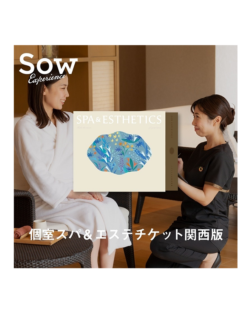 ソウ・エクスペリエンス
