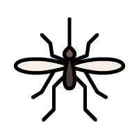 蚊