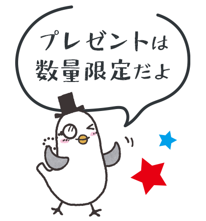 ハトソン「プレゼントは数量限定だよ」