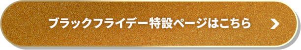 ブラックフライデー特設ページはこちら
