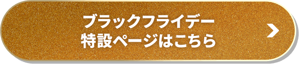 ブラックフライデー特設ページはこちら