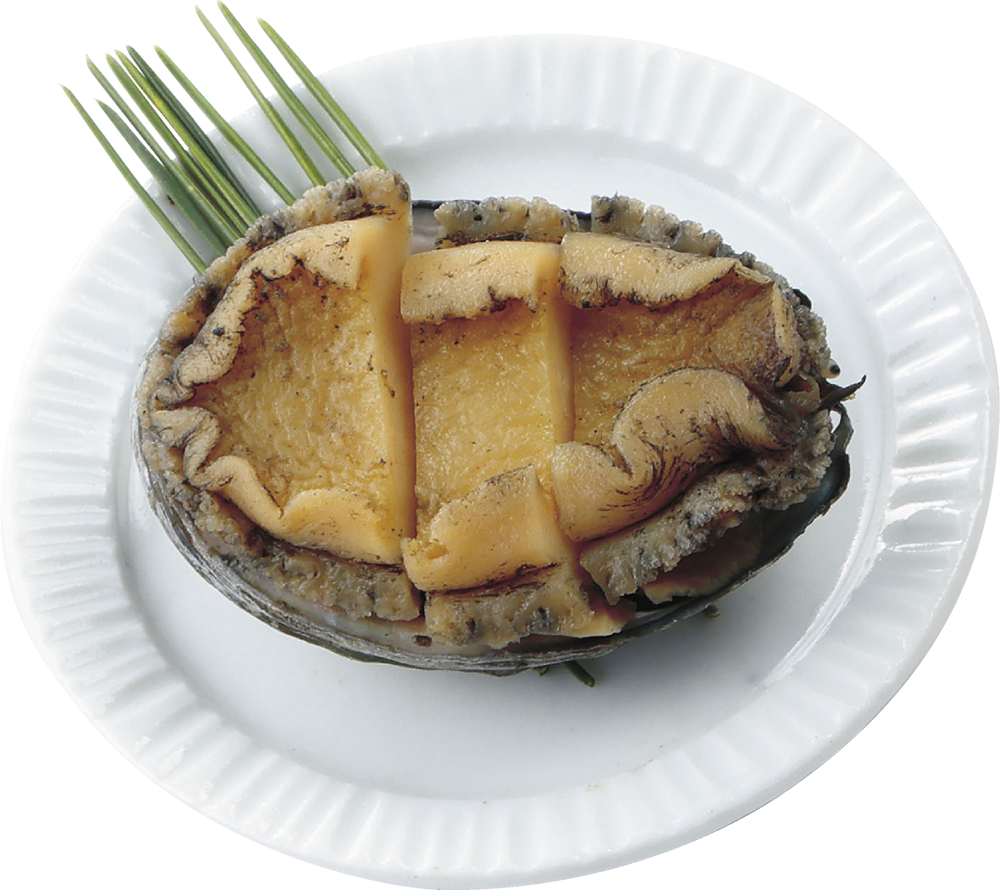 あわび旨煮