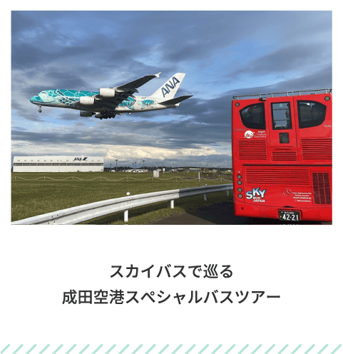 スカイバスで巡る 成田空港 スぺシャルバスツアー