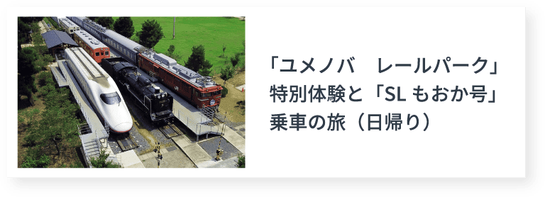 「ユメノバ　レールパーク」特別体験と「SLもおか号」乗車の旅（日帰り）