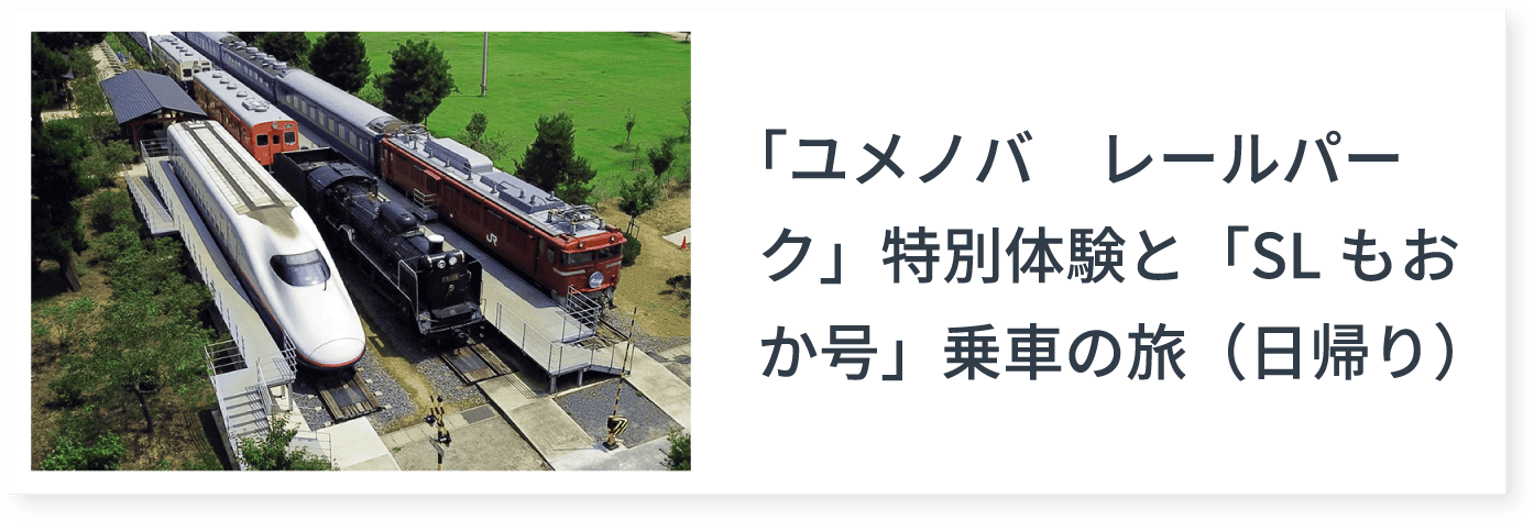 「ユメノバ　レールパーク」特別体験と「SLもおか号」乗車の旅（日帰り）