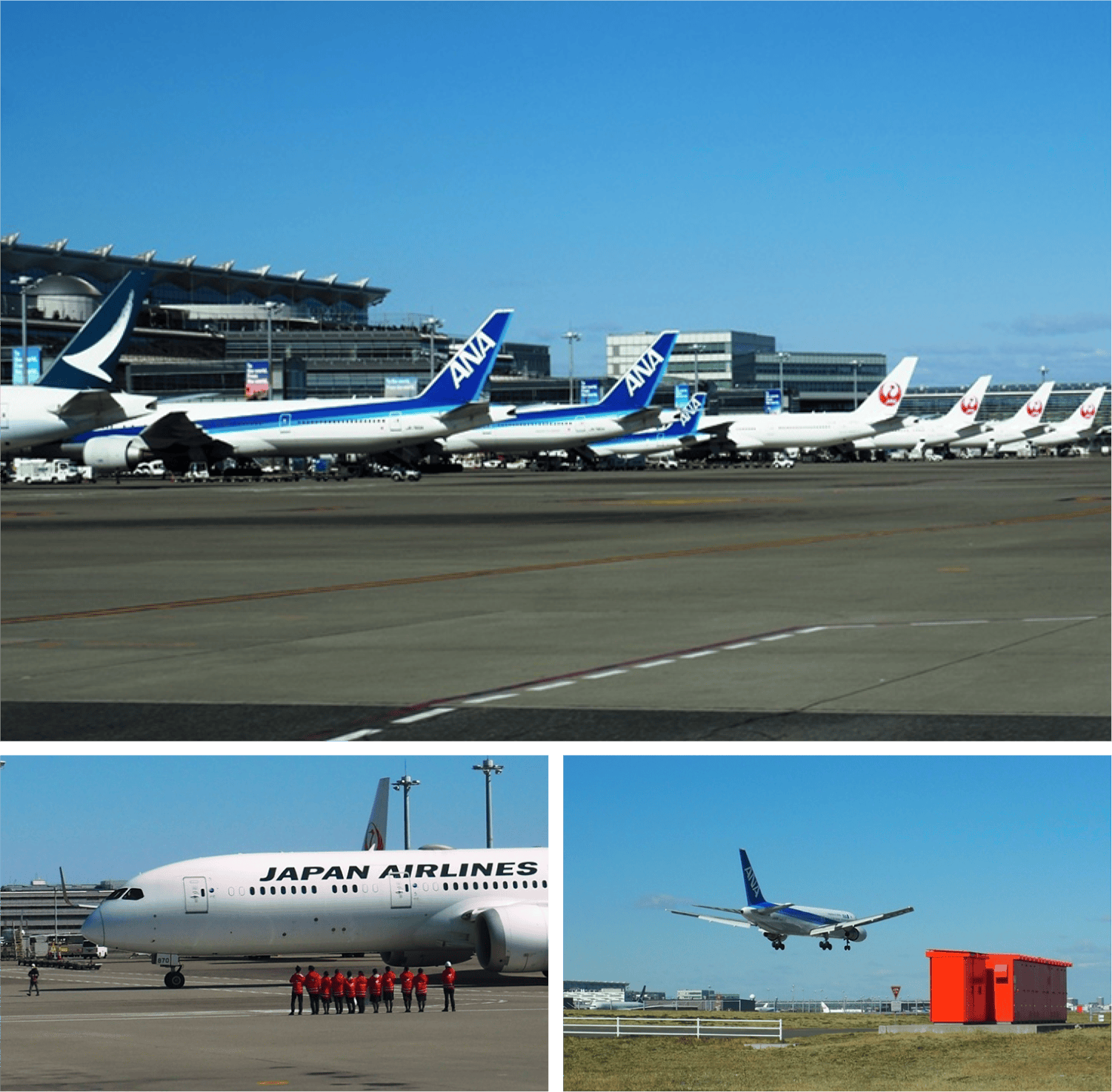  羽田空港制限区域内見学バスツアー （日帰り）