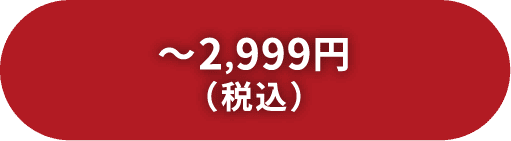 〜2,999円（税込）