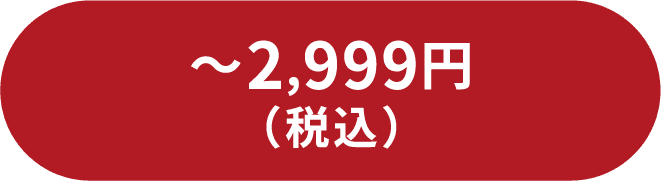 〜2,999円（税込）