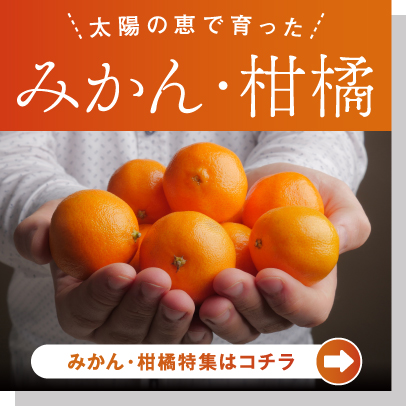 みかん・柑橘
